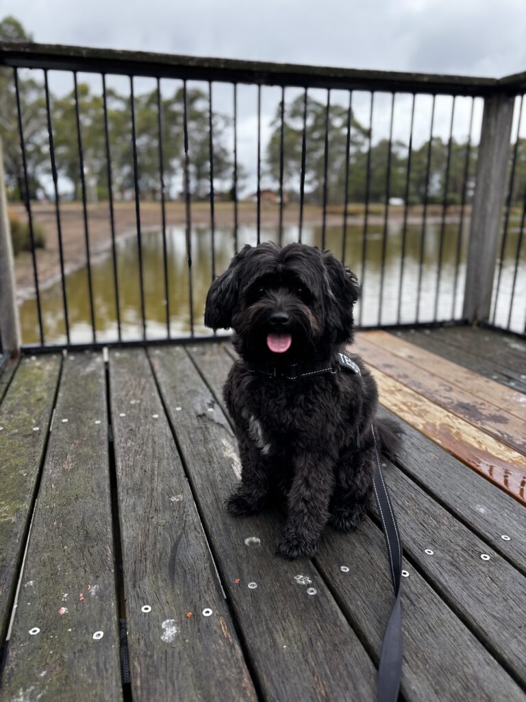 drain-cleaning img 5176