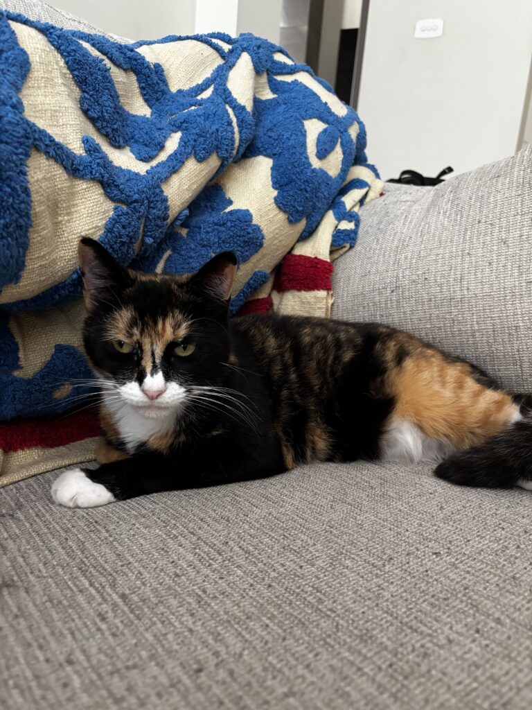 gas-pipeline img 5480