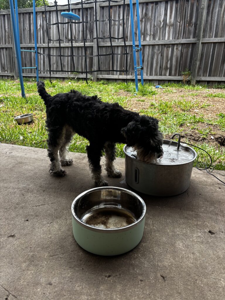 commercial-plumbing img 5494